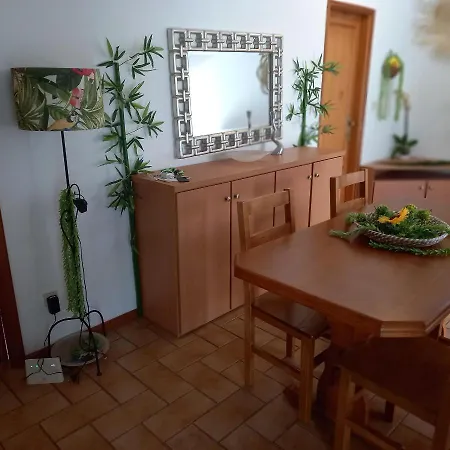 Ponte 516 E Passadico Do Paiva Apartamento Cinfães